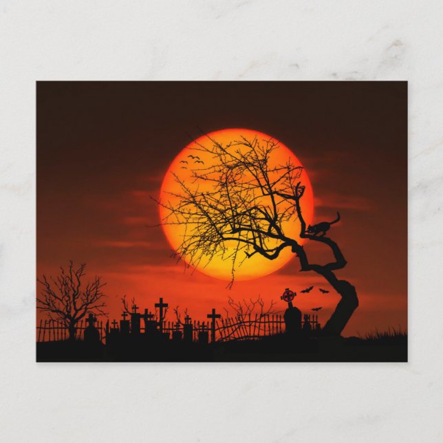 Carte Postale Pleine lune et chat sur le cimetière (Devant)