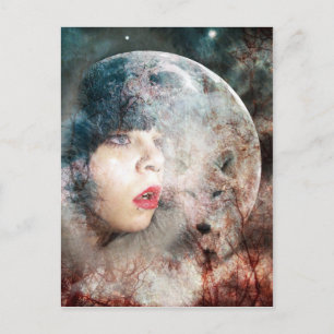 Carte Postale Pleine Lune Wolfs