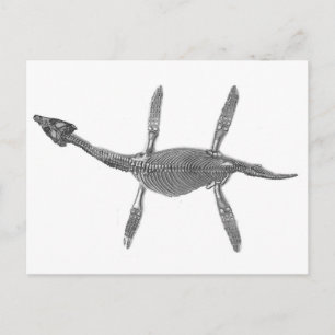 Carte Postale Plesiosaurus Squelette Antique Print