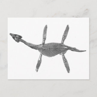 Carte Postale Plesiosaurus Squelette Antique Print