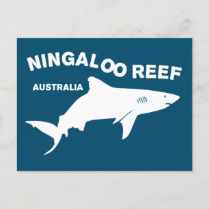 Carte Postale Plongée De Requin En Australie, Ningaloo Reef