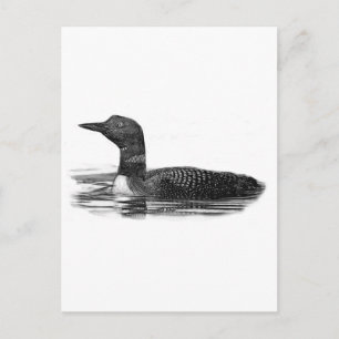 Carte Postale Plongeon sur le lac