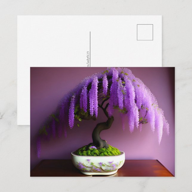 Carte Postale Pluie violette Wisteria Bonsai, poste (Devant / Derrière)