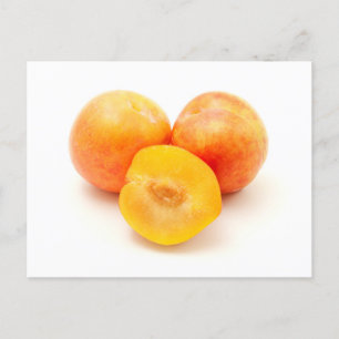 Carte Postale Plum Mirabelle