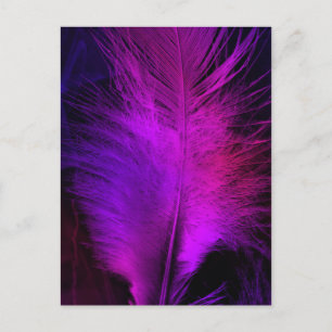 Carte Postale plume magnifique.jpg