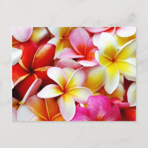 Carte Postale Plumeria Frangipani Hawaii Fleur Customisée