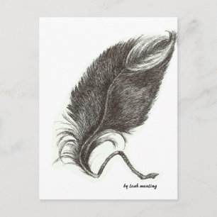 Carte Postale Plumes d'aigle