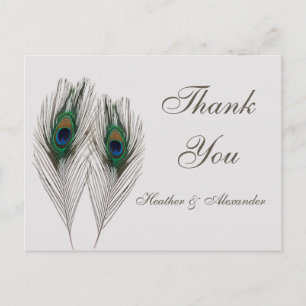 Carte Postale Plumes de paon bleu vert Merci