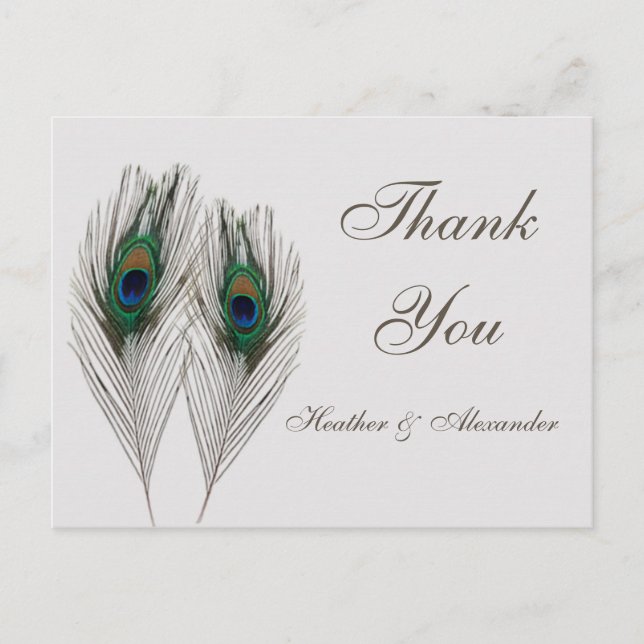 Carte Postale Plumes de paon bleu vert Merci (Devant)