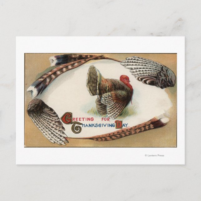 Carte Postale Plumes de Turquie (Devant)