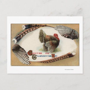 Carte Postale Plumes de Turquie