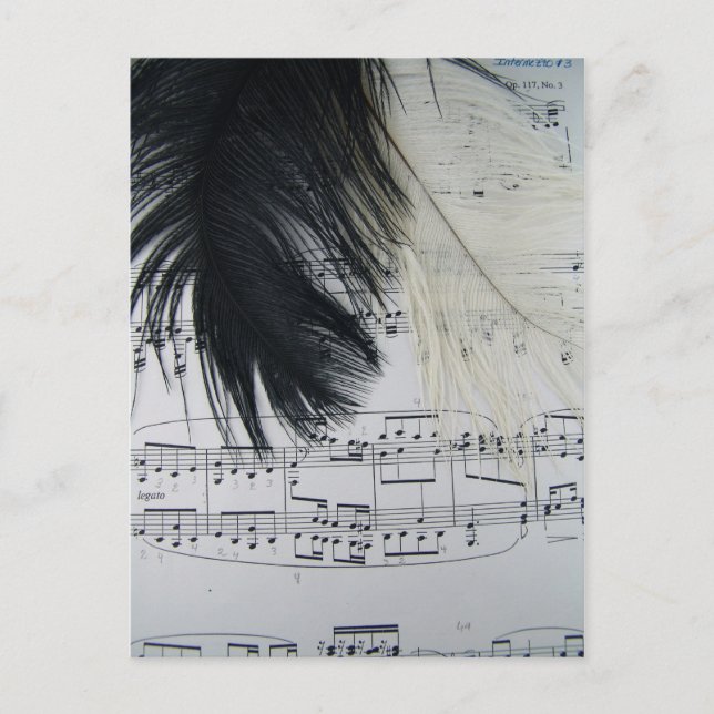 Carte Postale Plumes et musique (Devant)