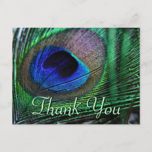 Carte postale Plumes vibrantes