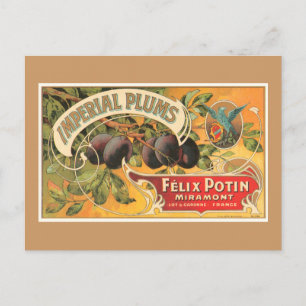 Carte Postale Plums impériaux