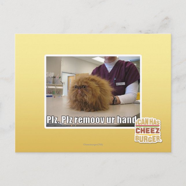Carte Postale Plz remoov votre main (Devant)