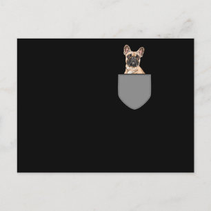 Carte Postale Poche de Chien de France