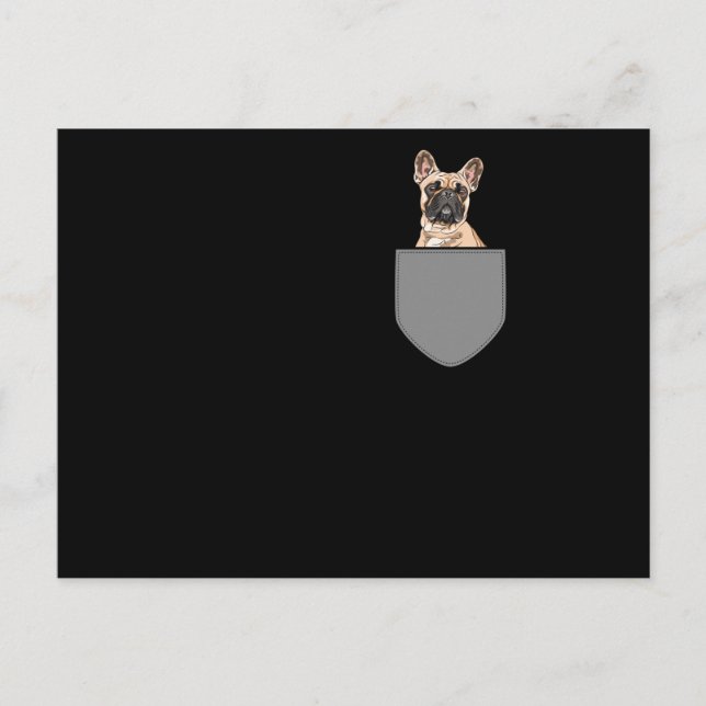 Carte Postale Poche de Chien de France (Devant)