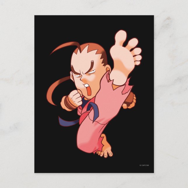 Carte Postale Pocket Fighter Dan 2 (Devant)