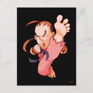 Carte Postale Pocket Fighter Dan 2