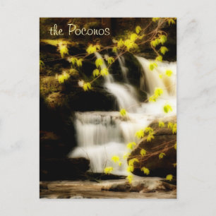 Carte postale Poconos Springtime Waterfall Scene