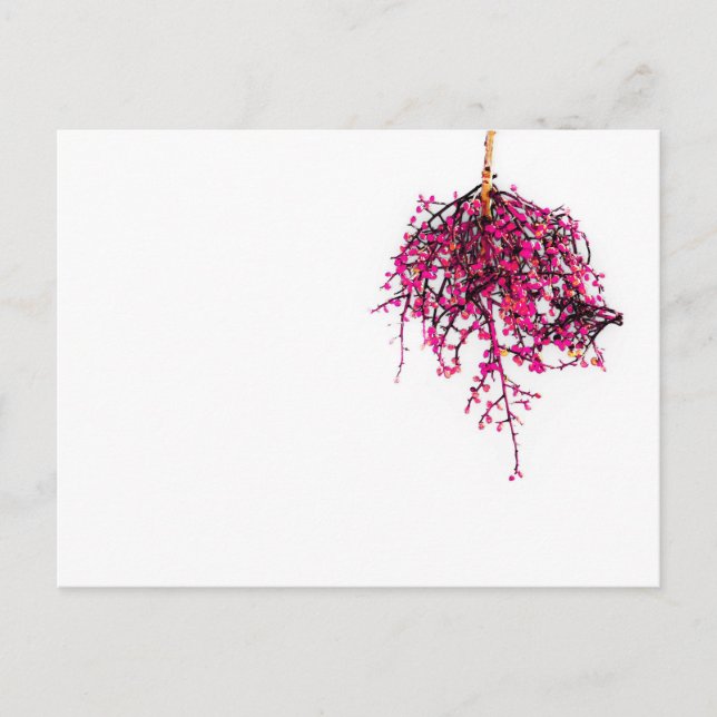 Carte postale "Pods" JTG Art (Devant)