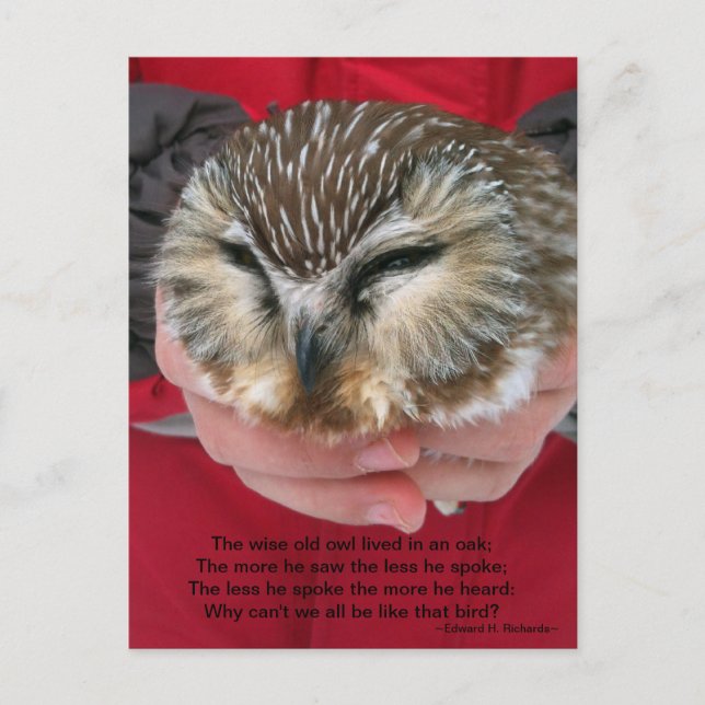 Carte postale Poem de Chouette blanche (Devant)