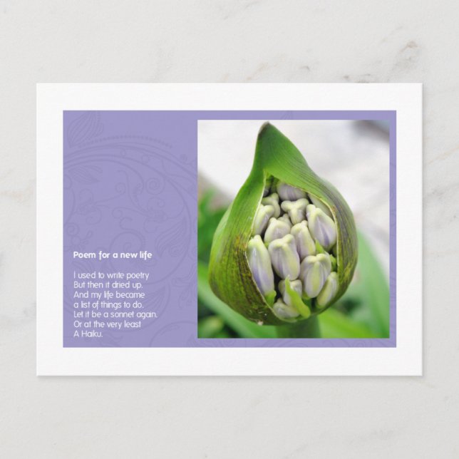 Carte Postale Poem for a new Life (Devant)