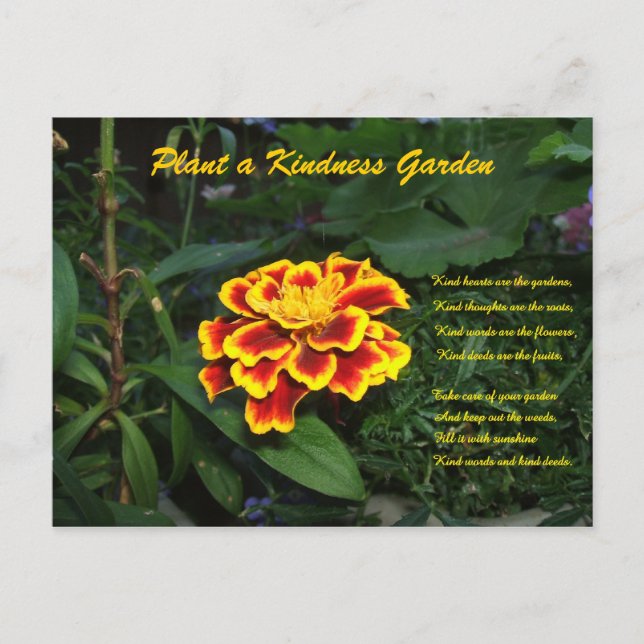 Carte postale Poem Jardin Kindness (Devant)
