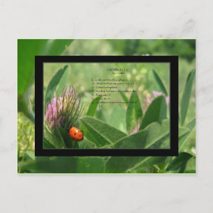 Carte postale Poem Ladybug