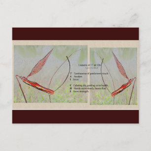 Carte postale Poem Tai Chi