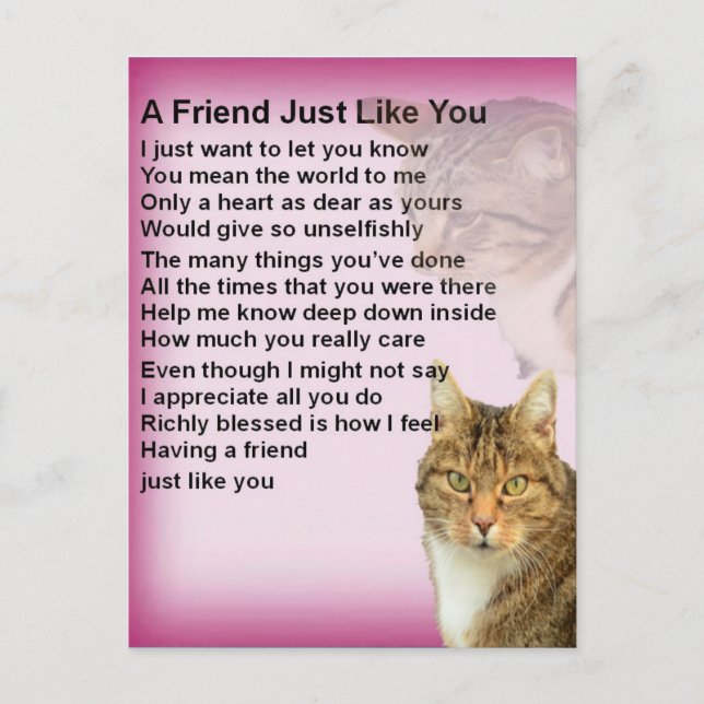 Carte Postale Poème d'ami des chats (Devant)