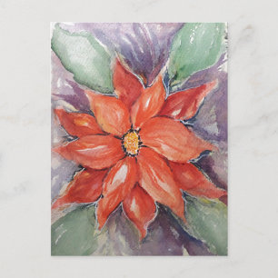 Carte Postale Poinsettia