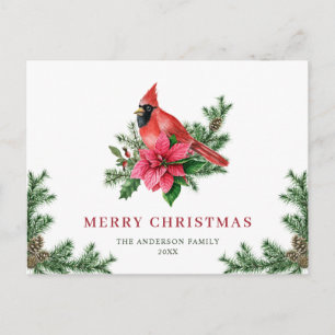 Carte Postale Poinsettia Cardinal Rouge Noël de Noël