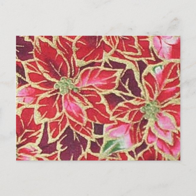Carte postale Poinsettia Rouge Or rose Bourgogne (Devant)