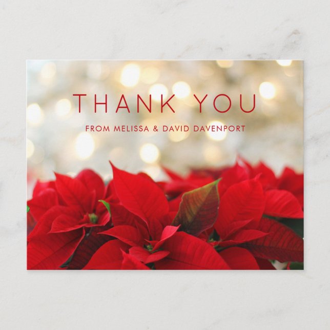 Carte Postale Poinsettias rouges avec Golden Bokeh Noël Merci (Devant)