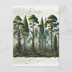 Carte Postale Point de vue sur la forêt des arbres