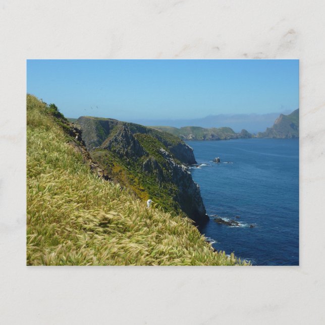 Carte Postale Point d'inspiration II d'Anacapa aux îles Anglo-No (Devant)