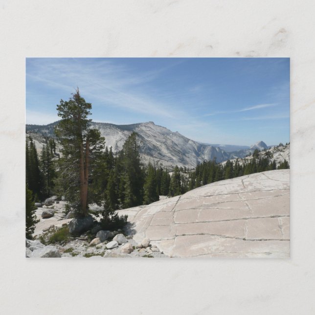 Carte Postale Point II d'Olmsted du parc national Yosemite (Devant)