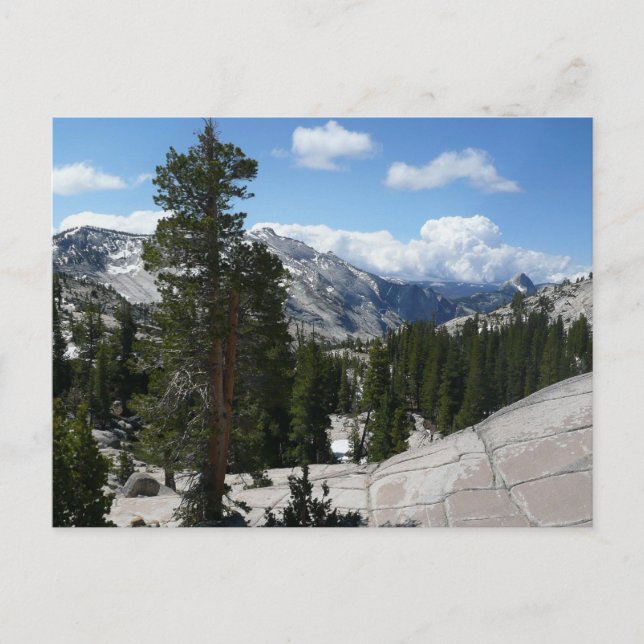 Carte Postale Point III d'Olmsted dans le parc national Yosemite (Devant)