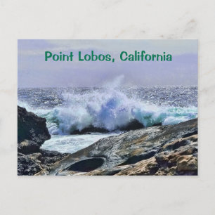 Carte Postale Point Lobos Côte Centrale Californie