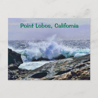 Carte Postale Point Lobos Côte Centrale Californie
