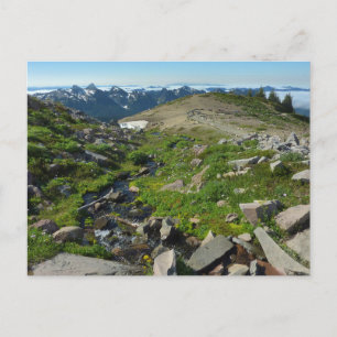 Carte Postale Point Panorama du mont Rainier
