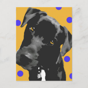 Carte Postale Point Polka