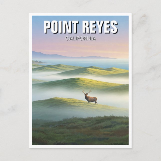 Carte Postale Point Reyes National Seashore Elk (Devant)