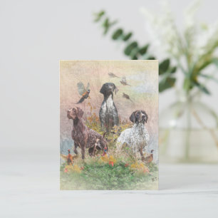 Carte Postale Pointer allemand à poil court (GSP), un faisan de 