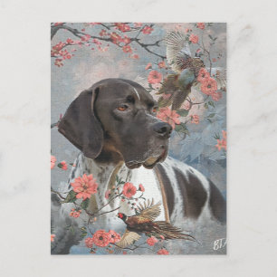 Carte Postale Pointer Anglais 