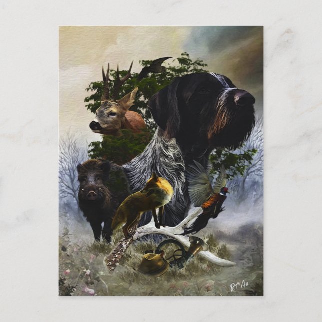 Carte Postale Pointeur À poils durs allemand (Devant)