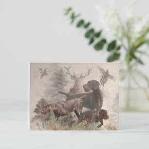 Carte Postale Pointeur À poils durs allemand