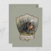 Pointeur À poils durs allemand