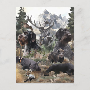 Carte Postale Pointeur À poils durs allemand